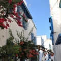 シディ・ブ・サイドの素敵なホテル「Hotel Sidi Bou Fares」の写真2