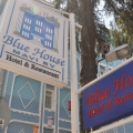 Blue House / ブルーハウスの写真4