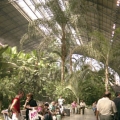 マドリッドのアトーチャ駅には植物園がある！？の写真2