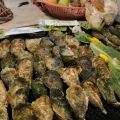 中央市場で生ガキを食べる！しかも激安！の写真2