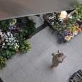 アタテュルク国際空港の到着ロビーにある花屋さんの写真1