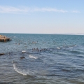 カルタゴの海水浴の写真3